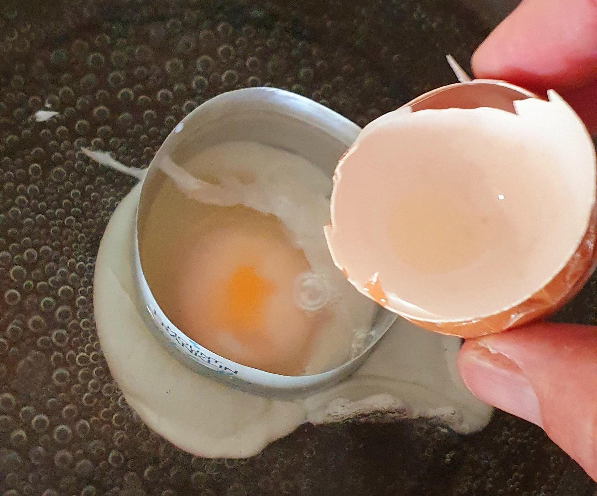 Poached Egg Ring