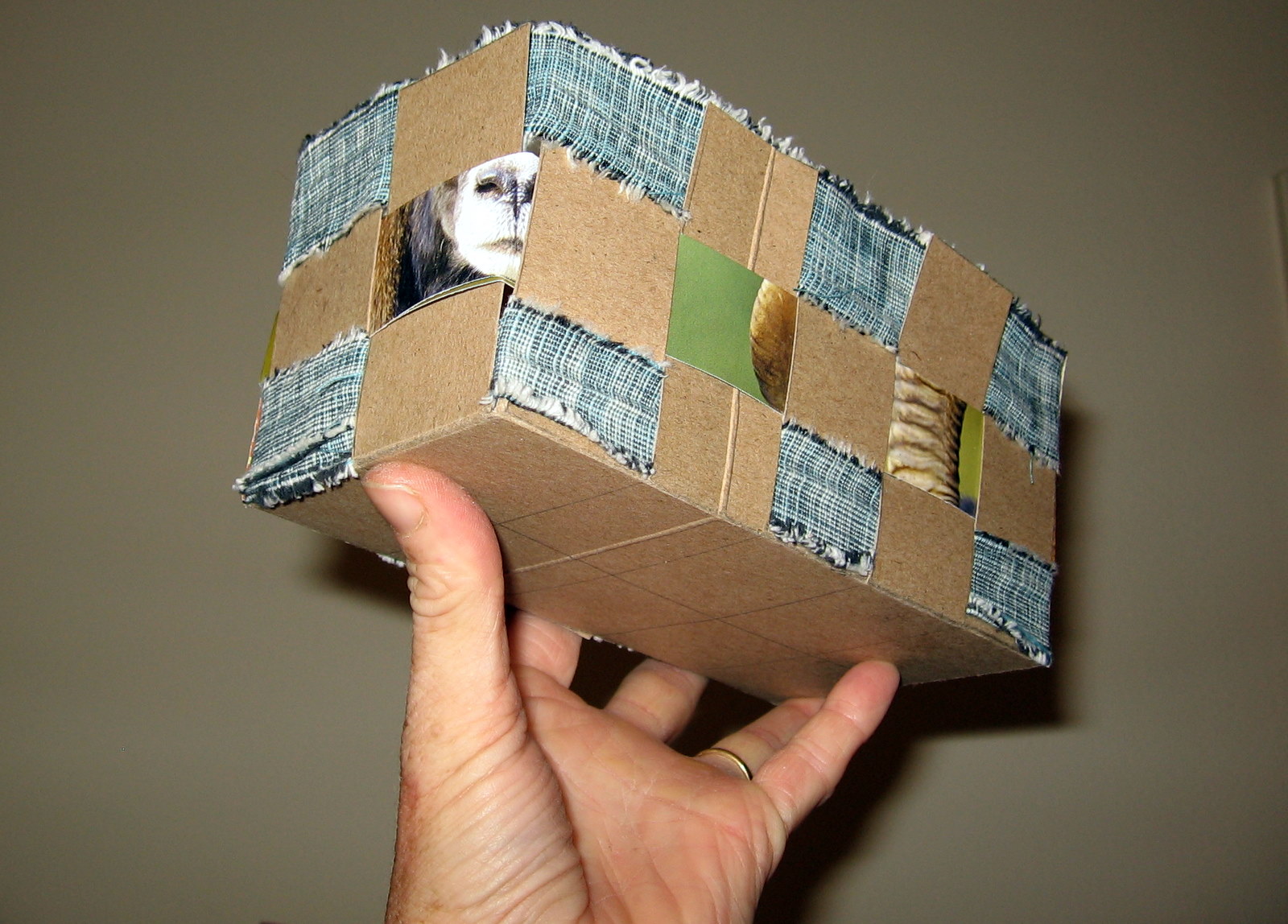 (Not Underwater) Cardboard Basket