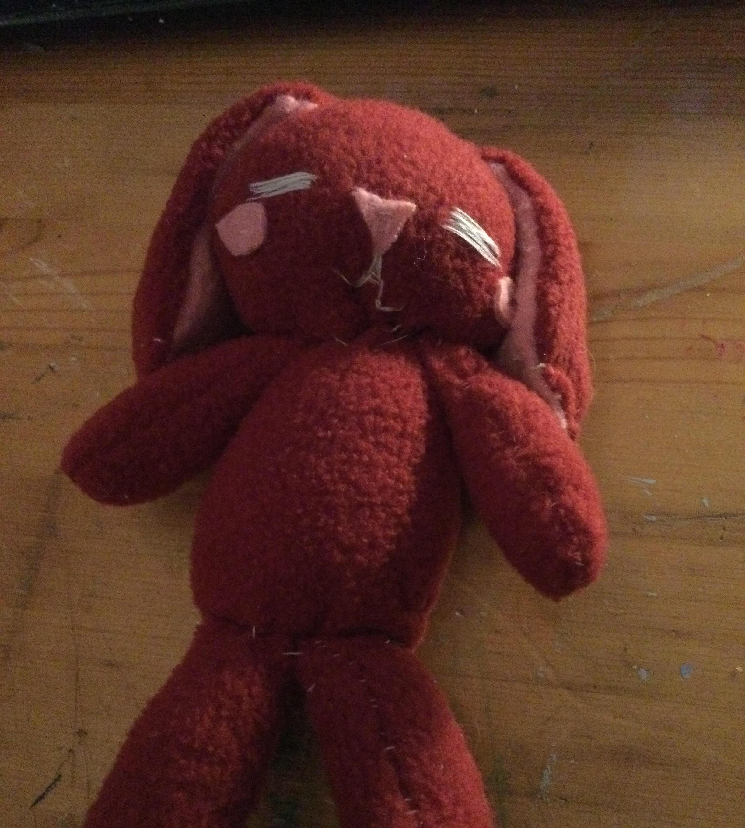 Warming Rabbit