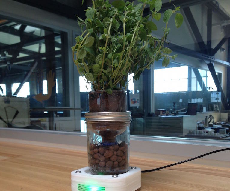 Erbbie - Desktop Smart Garden