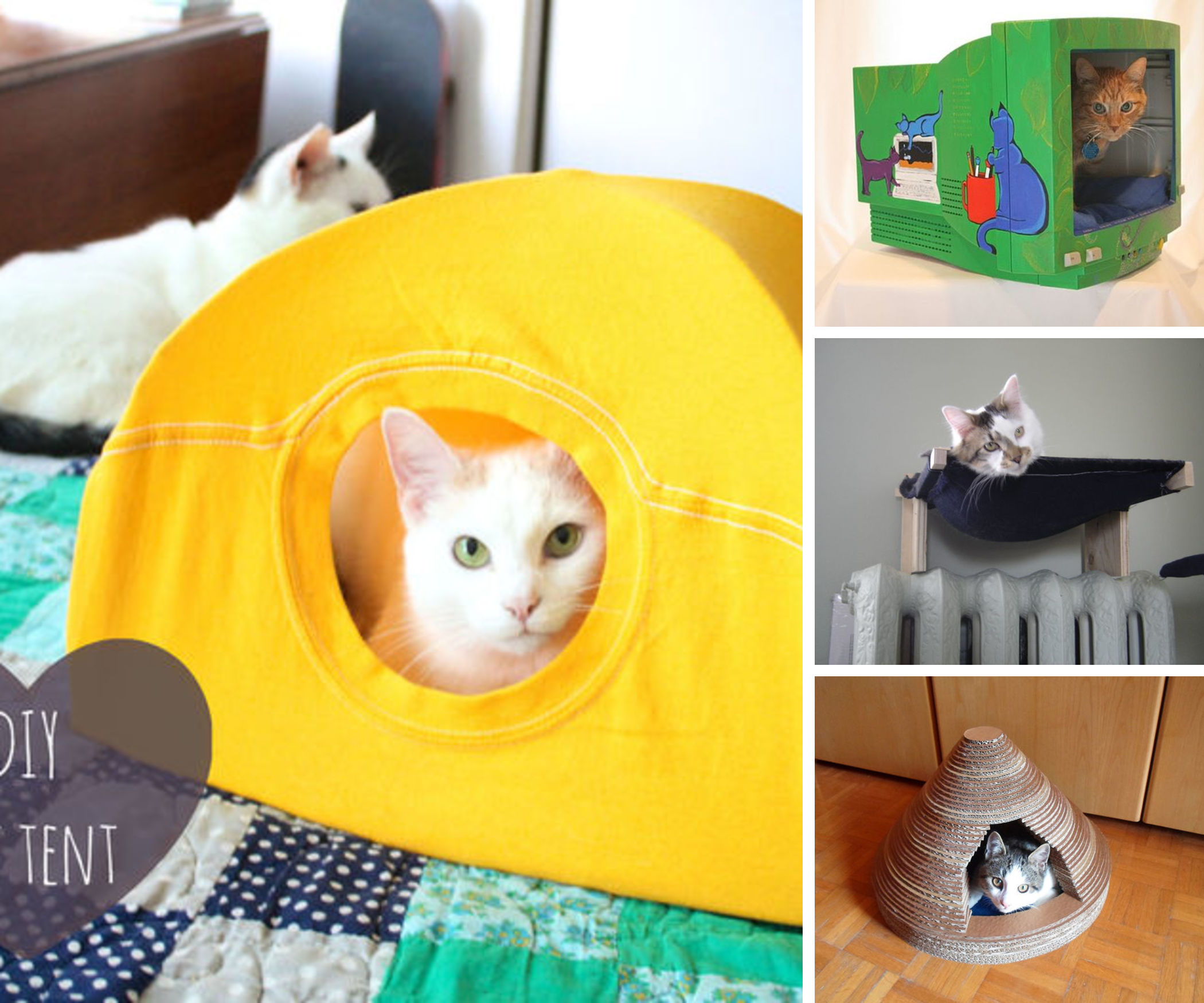 9 Cozy Cat Nap Nooks