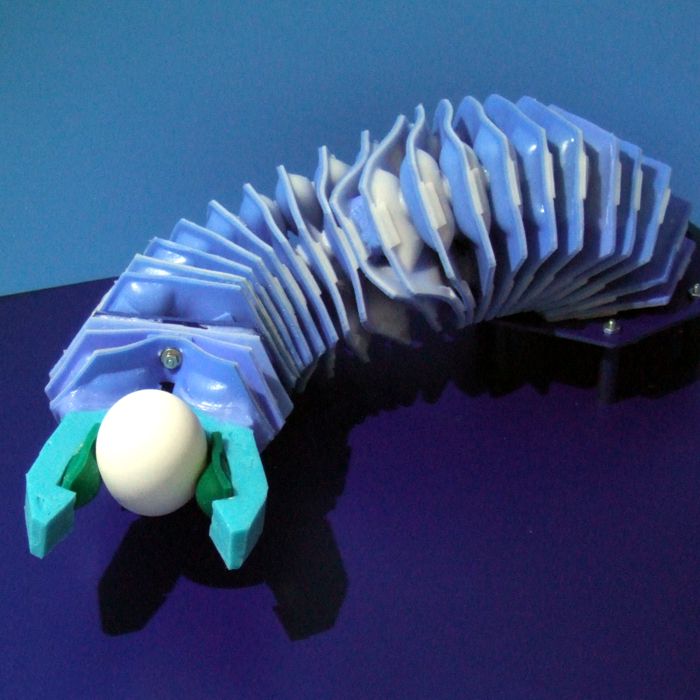 Soft Robots: Make an Artificial Muscle Arm and Gripper