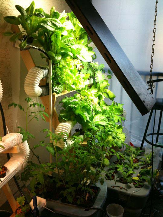 Ultimate Vertical Hydroponic Farm on the Cheap.. Gift Away Green Crops!