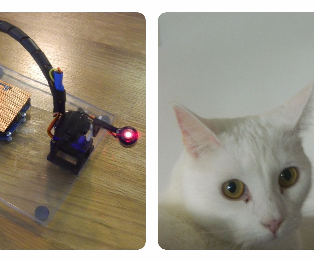 Cat Laser Entertainer Robot