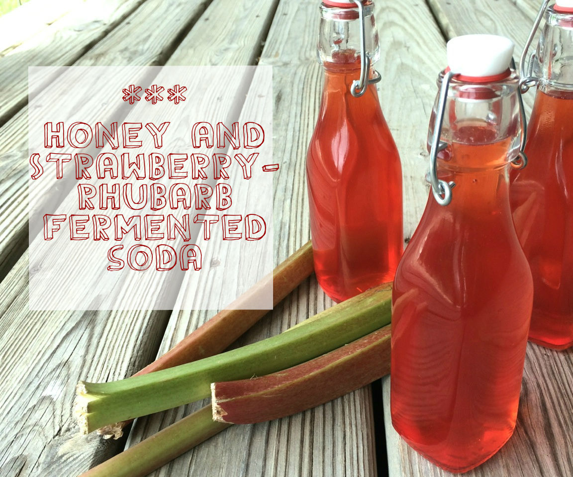 Honey & Strawberry-Rhubarb Fermented Soda