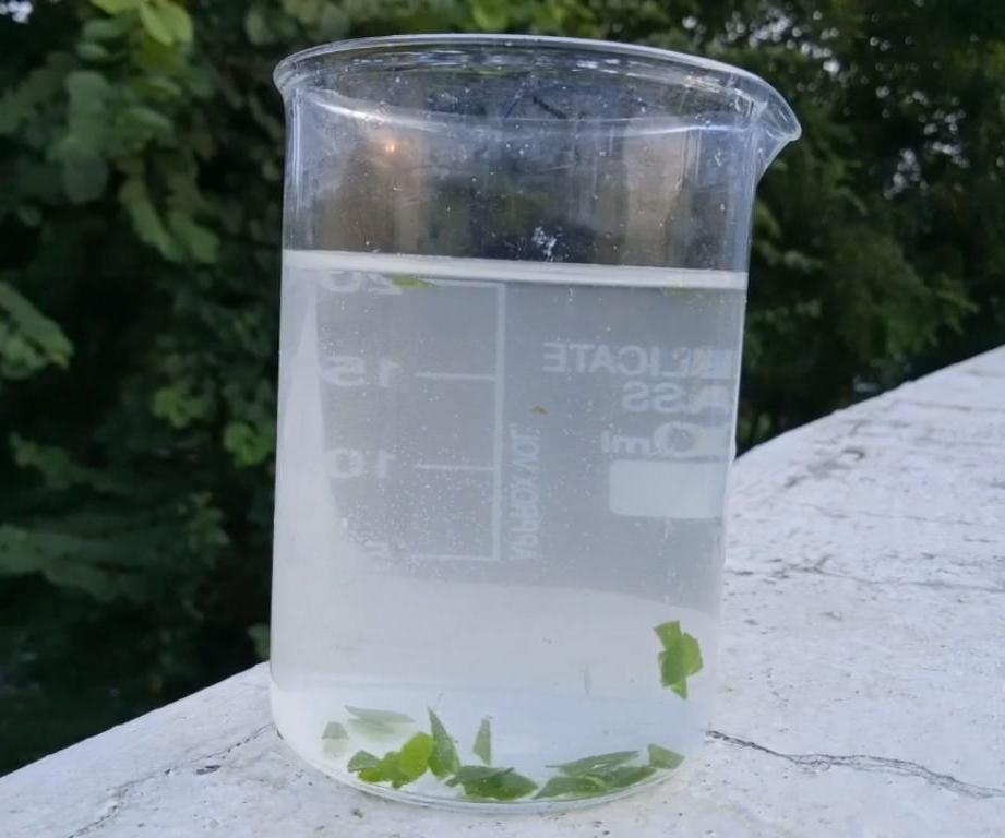 Photosynthesis in a Beaker