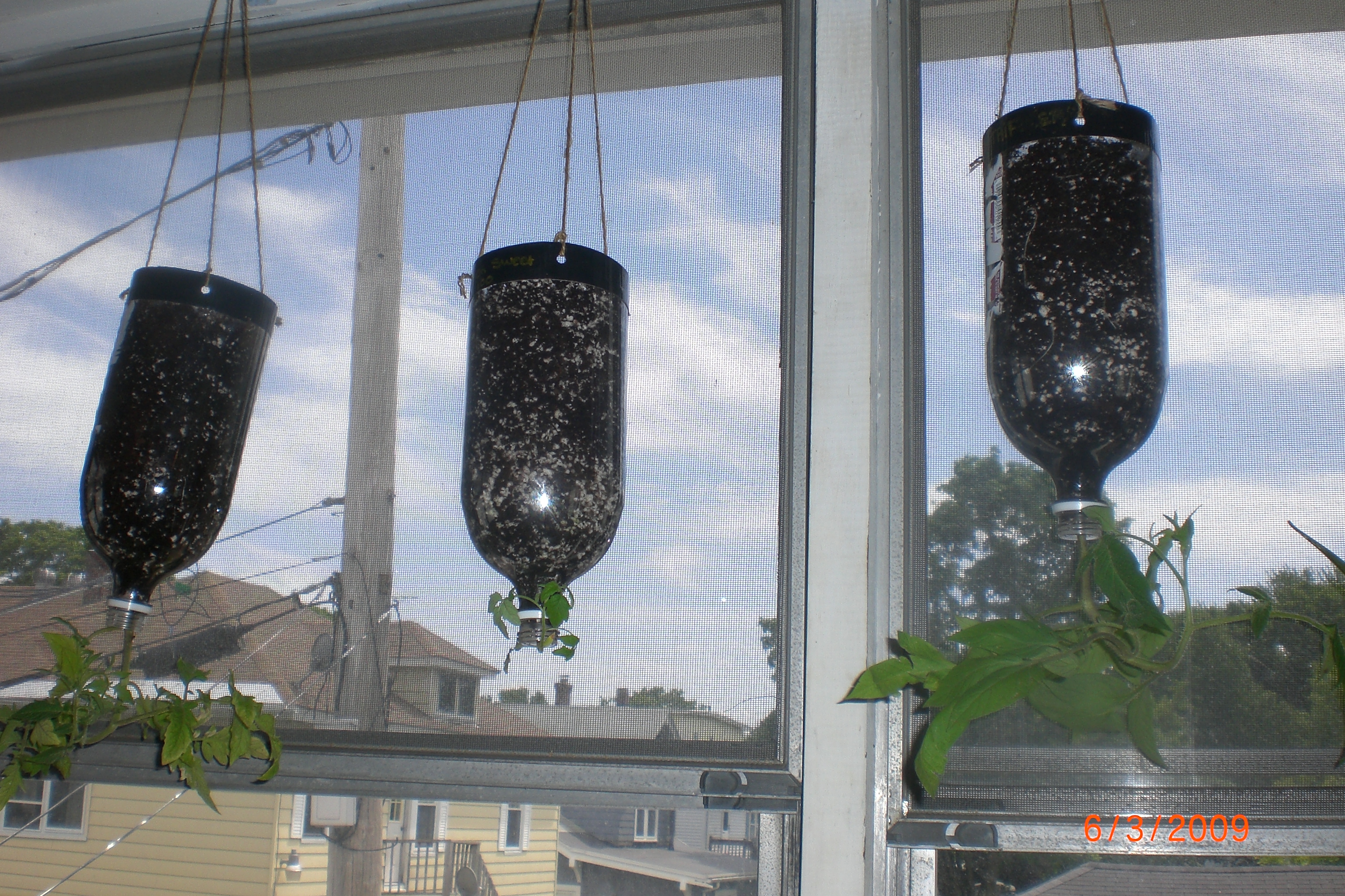 Slow Soaking Hanging Soda Bottle Planter