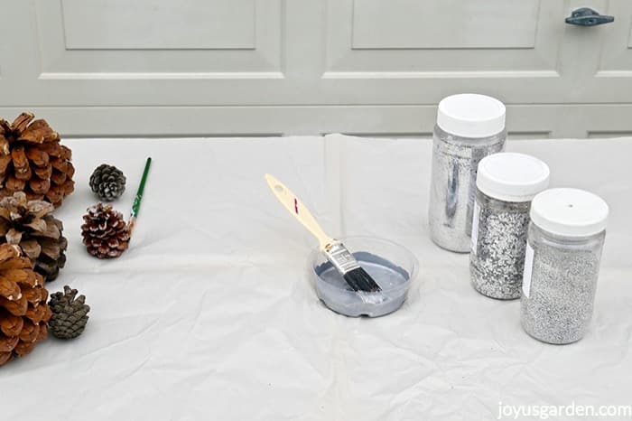 Pine-cones-a-saucer-with-silver-metallic-paint-a-brush-3-different-types-of-silver-glitter-sit-on-a-piece-of-white-paper_new.jpg