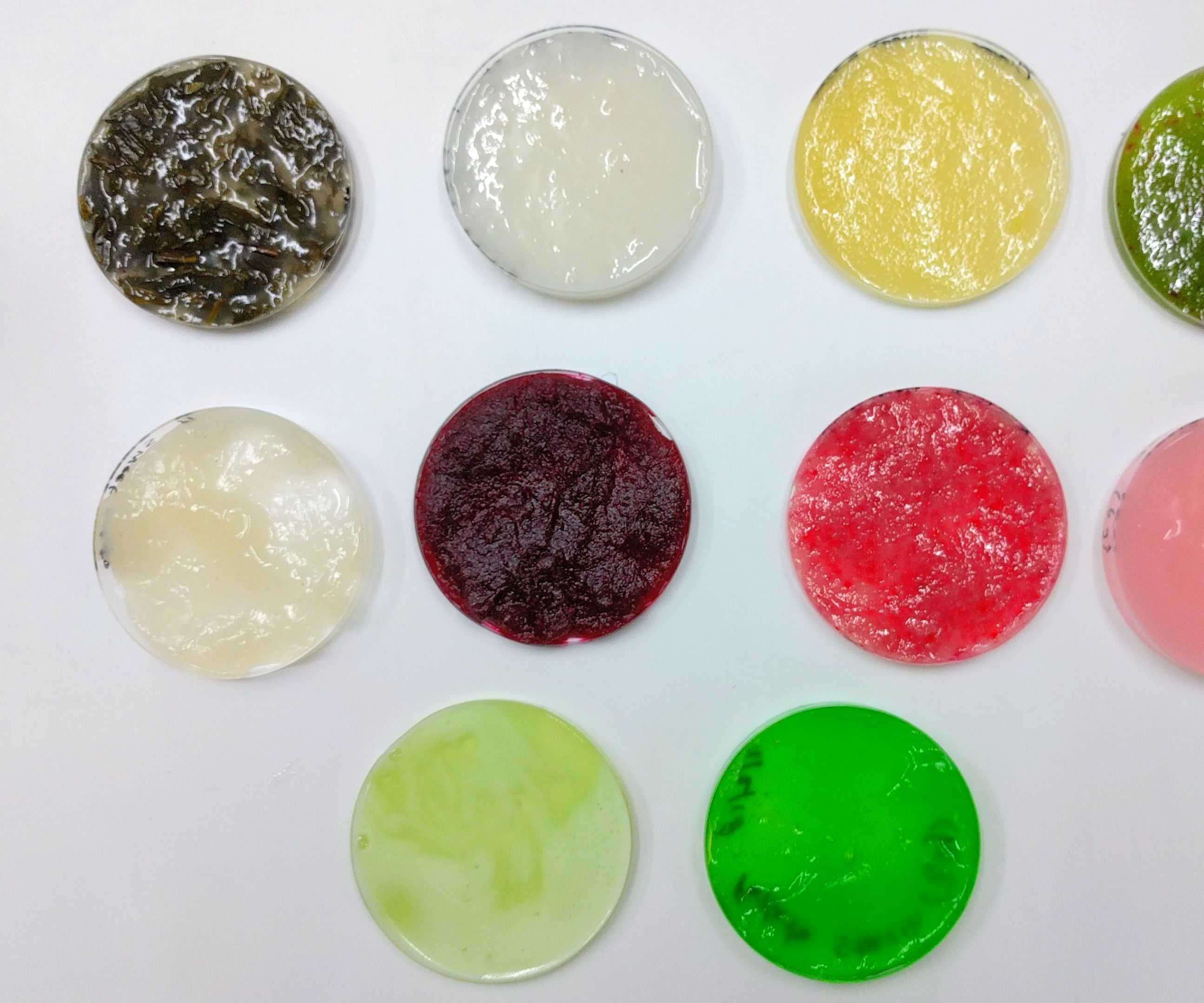 Make Your Own Bioplastics!