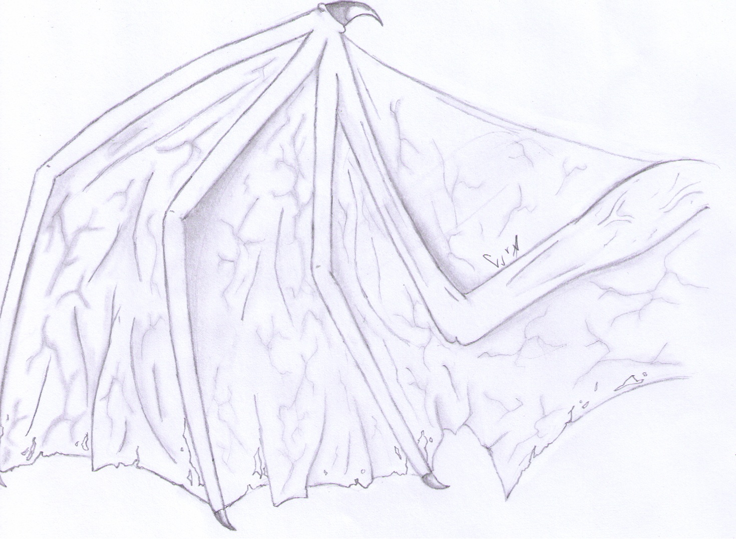 Draw: Reptile Wings