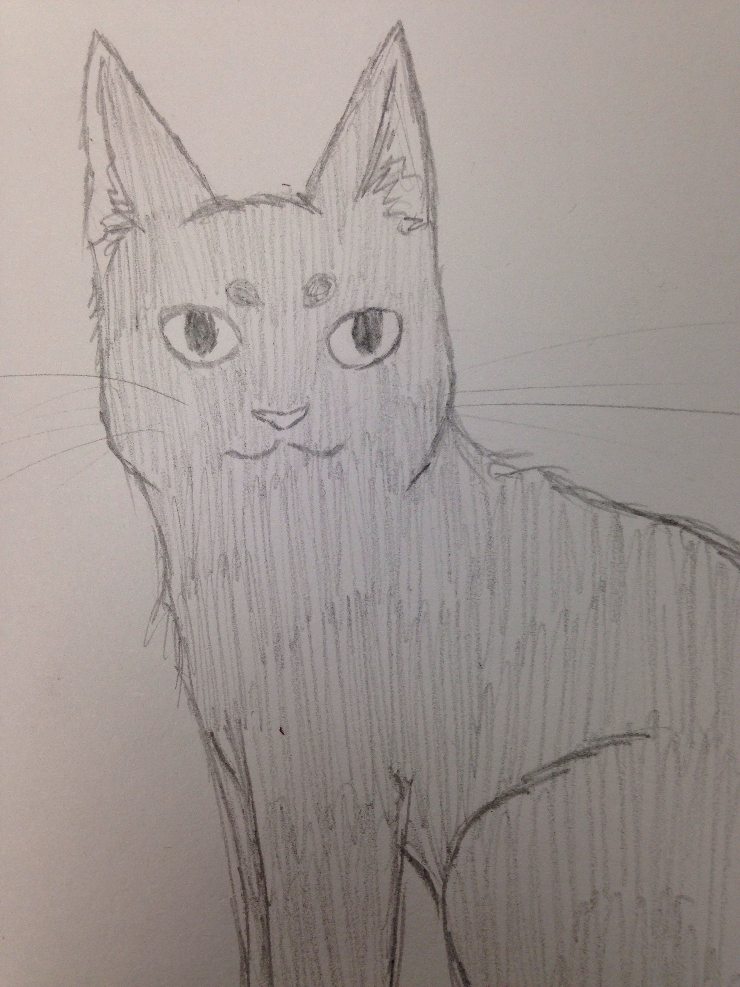 Drawing a Simple Cat