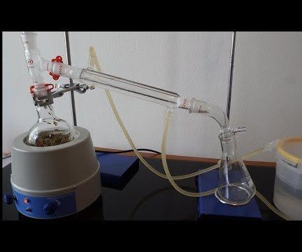 Extracting Rosemary With Hydro-Distillation