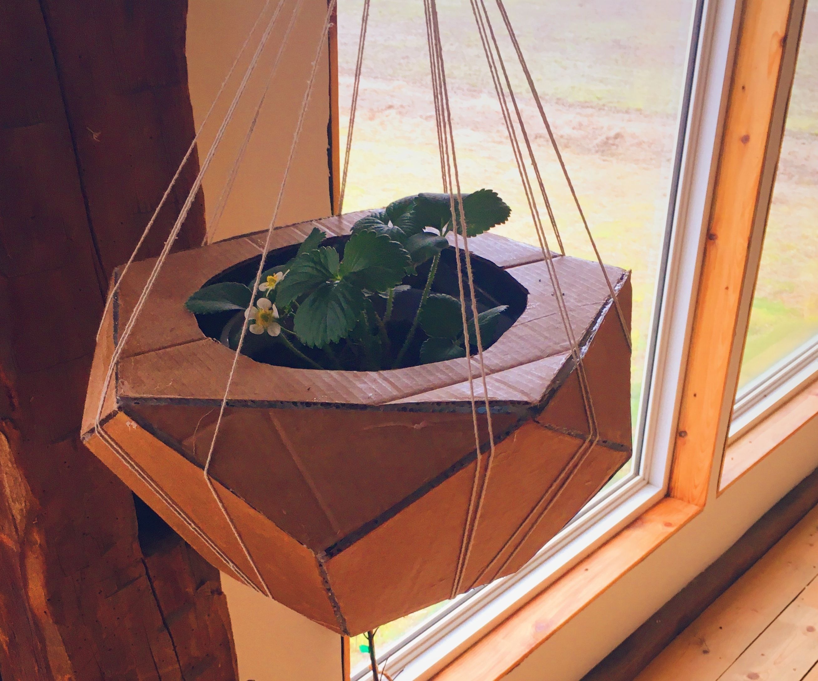 Geometric, Pentagonal Planter From Cardboard and a Plastic Bottle