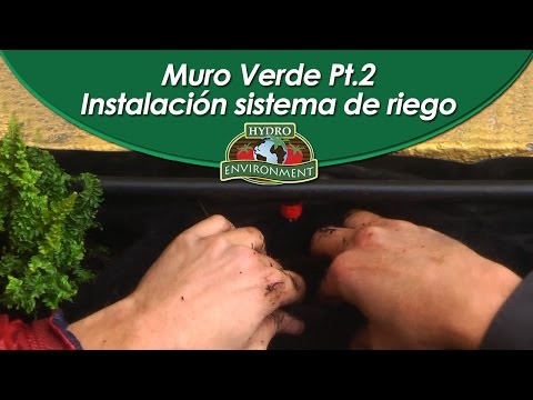 &amp;iexcl;Nueva Gu&amp;iacute;a! Muros verdes Pt.2 Instalaci&amp;oacute;n de Sistema de Riego