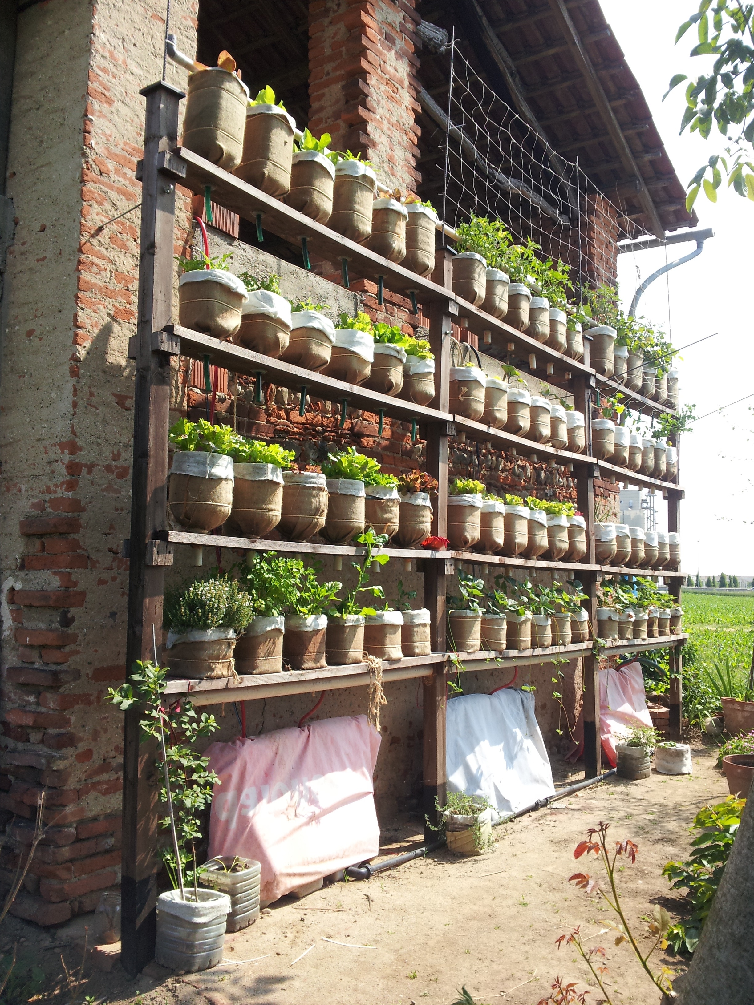 Self Watering Vertical Garden With Recycled Water Bottles