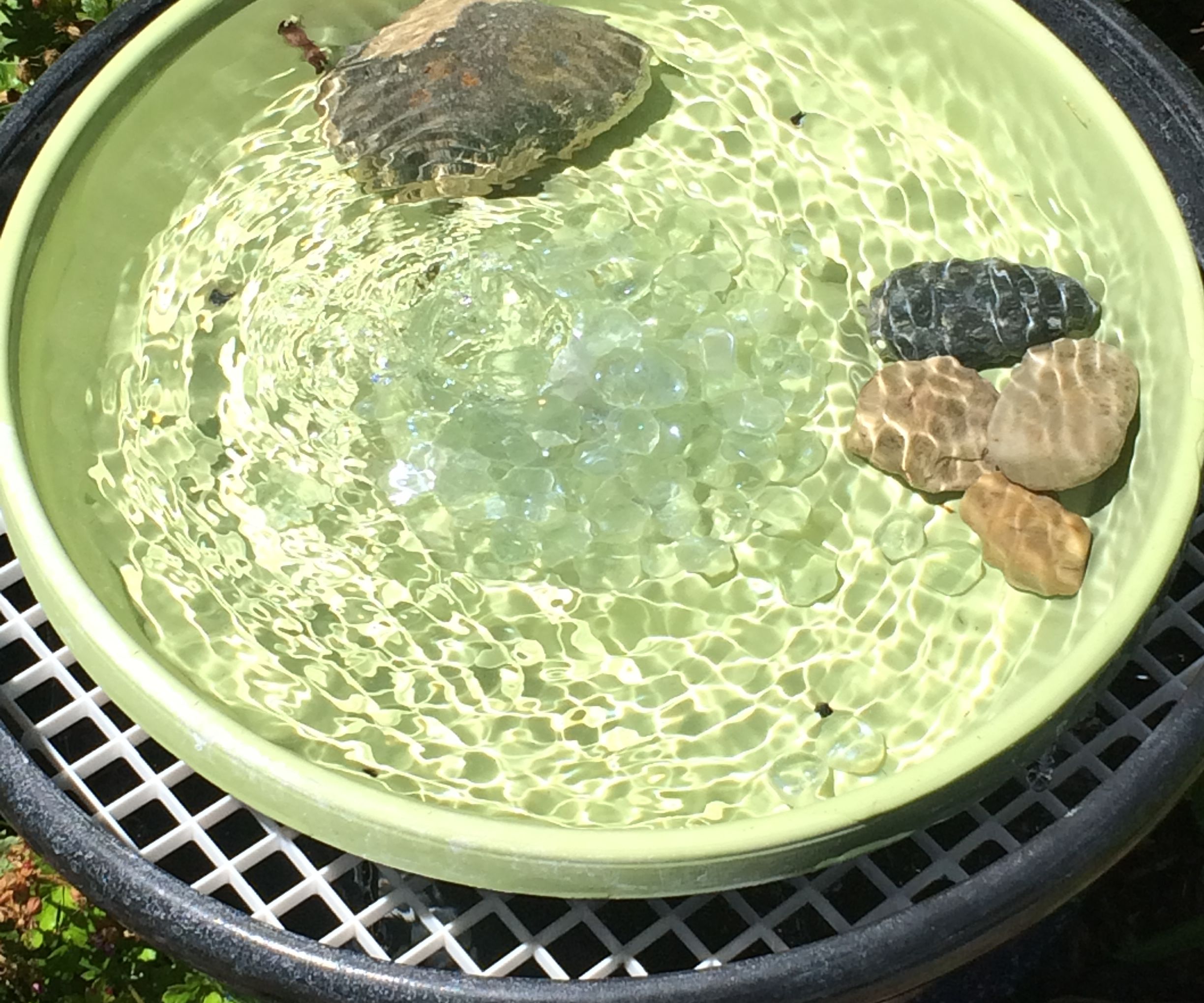 Recirculating Bird Bath/fountain