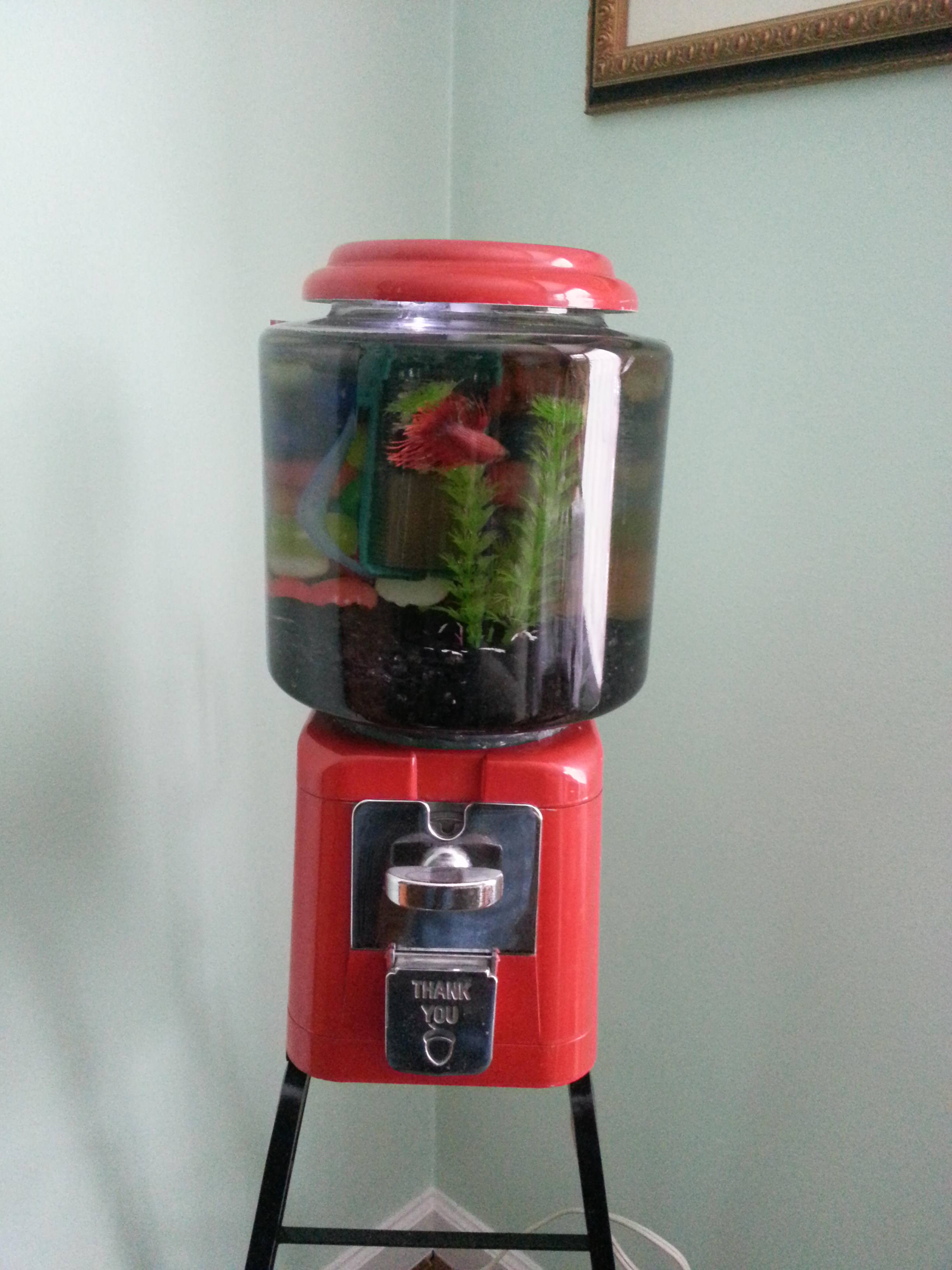 Gumball Machine Fish Tank