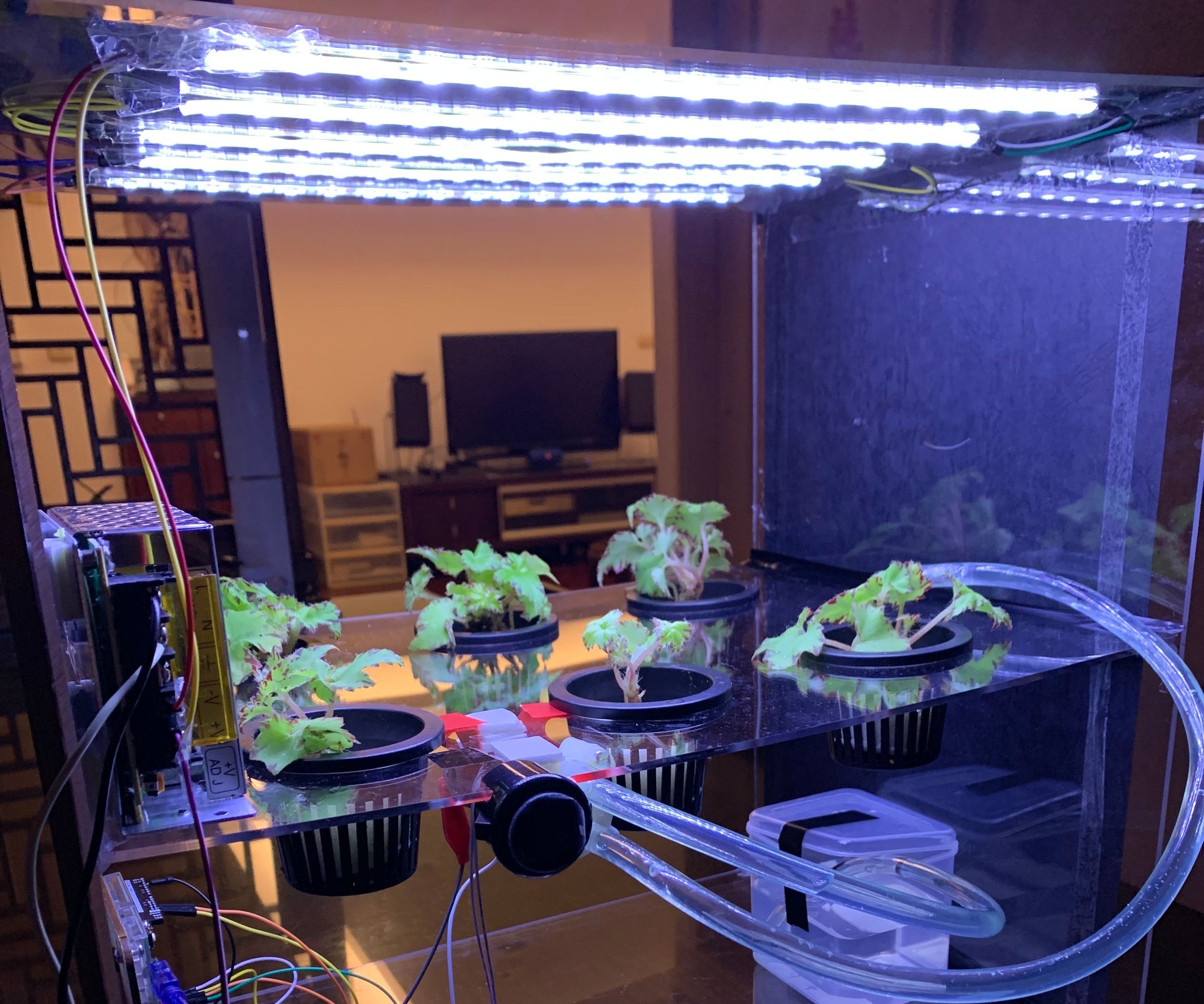 Indoor Planter Machine