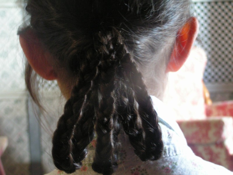 Fancy Three Part Braid.