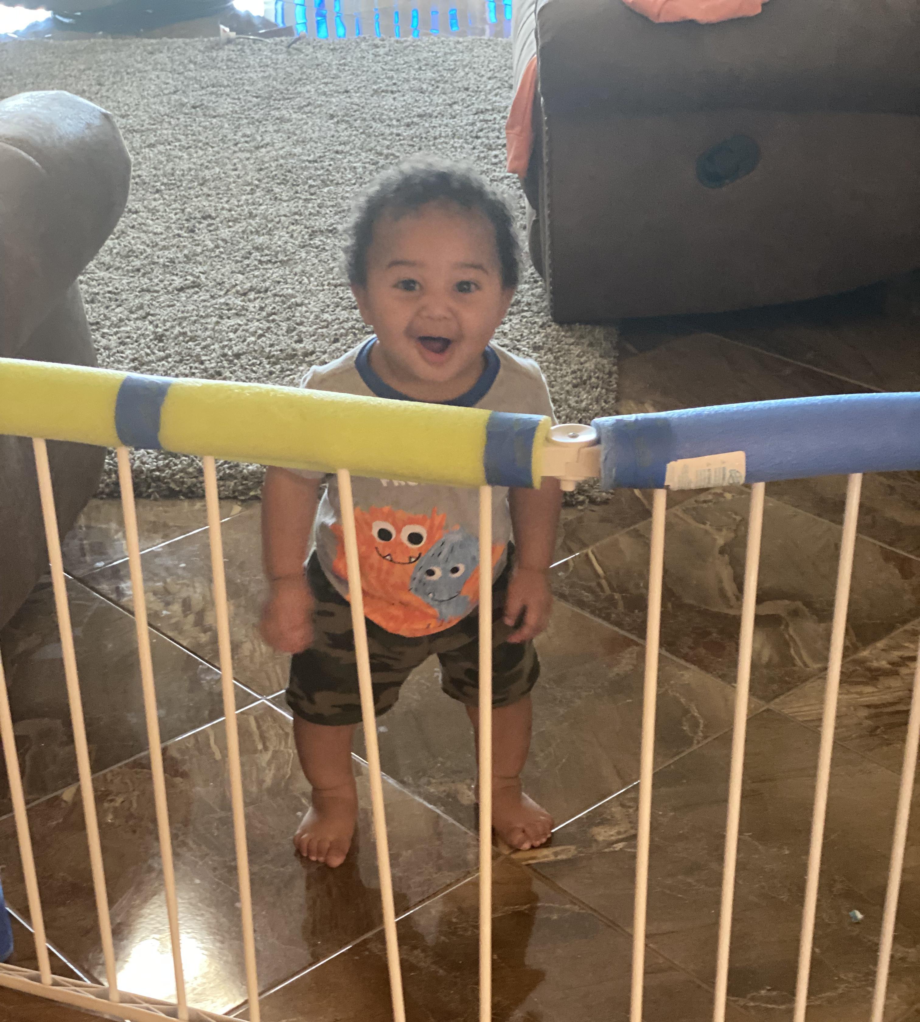 BABY GATE