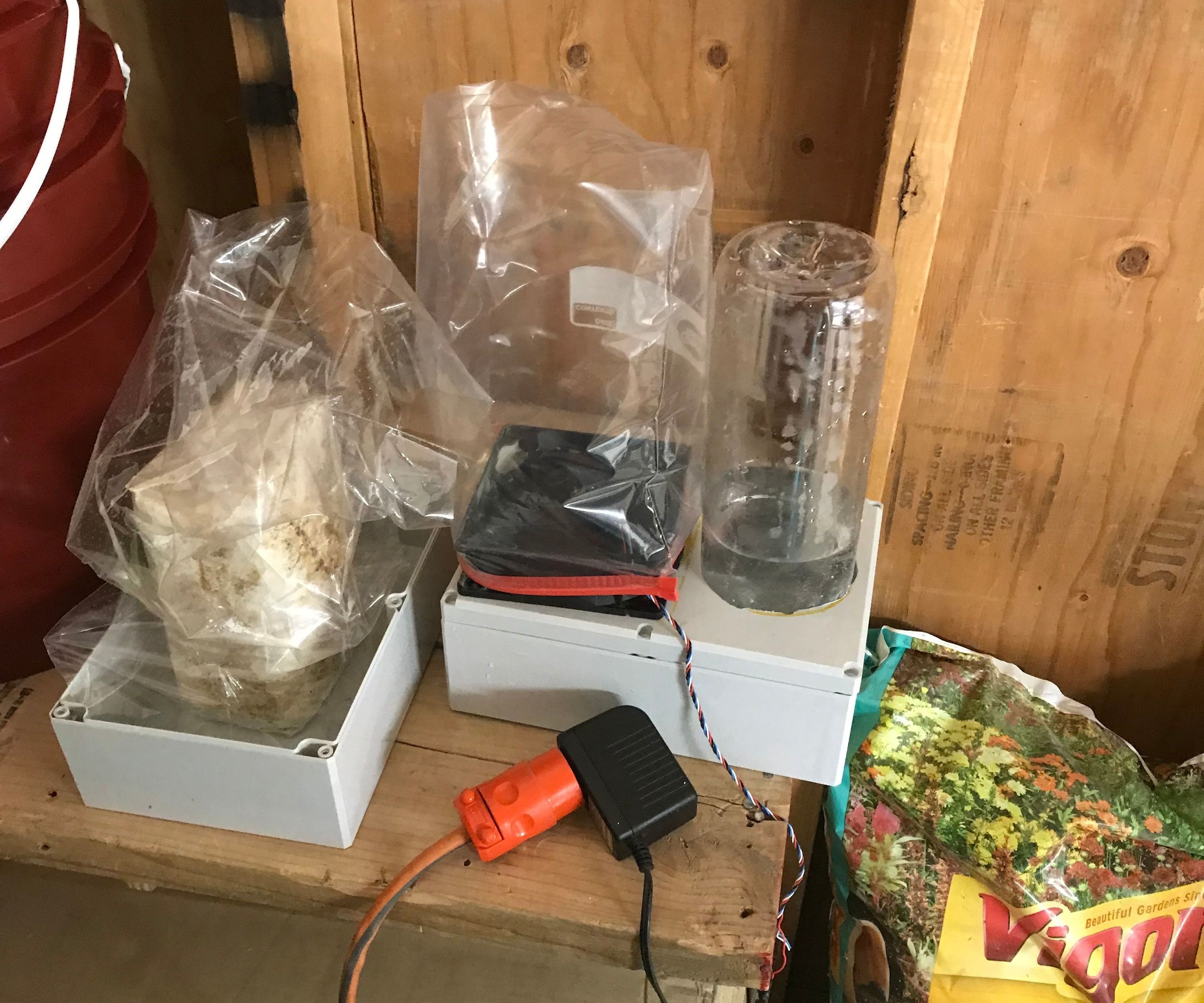DIY Humidifier