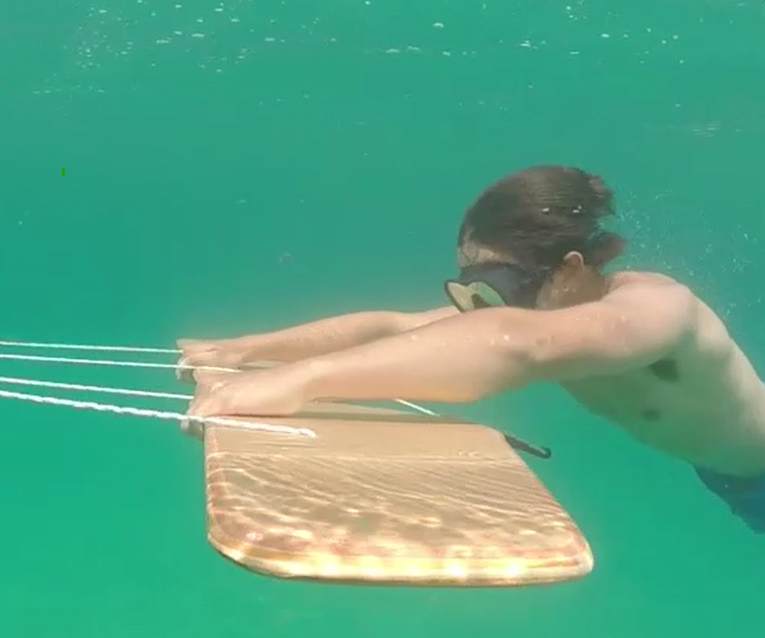 Subwing DIY
