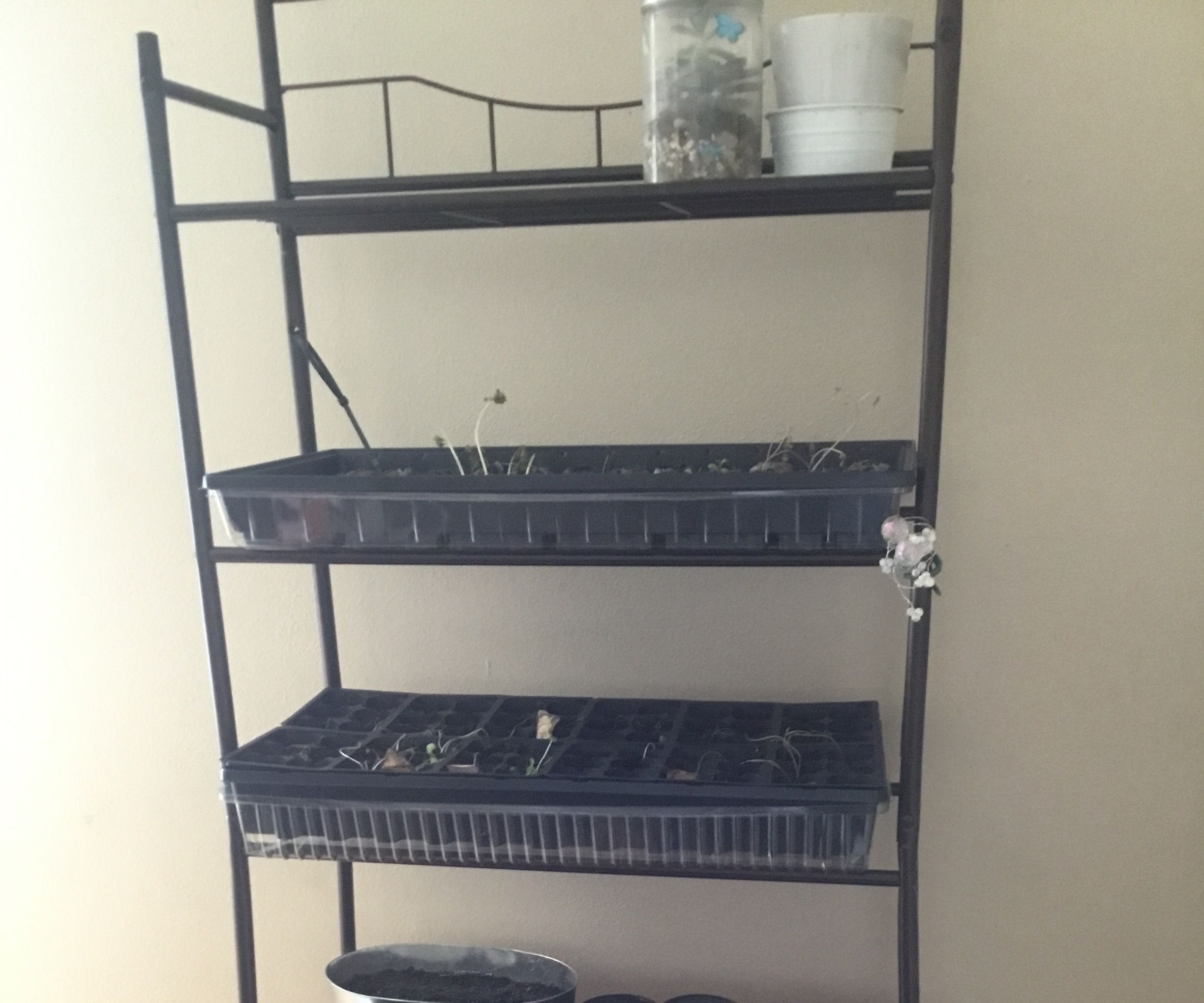 Plant Stand
