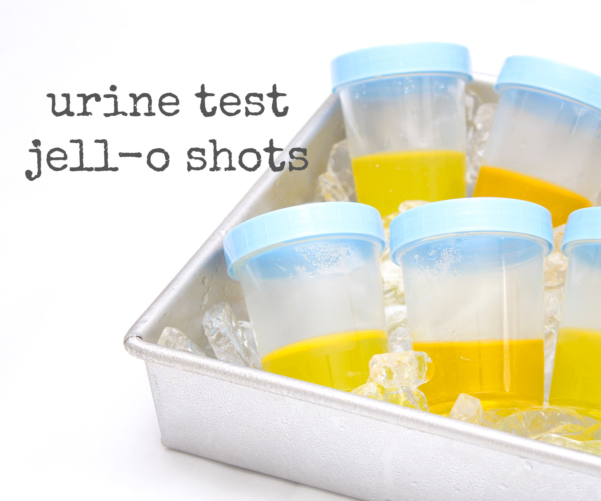 Urine Test Jell-o Shots