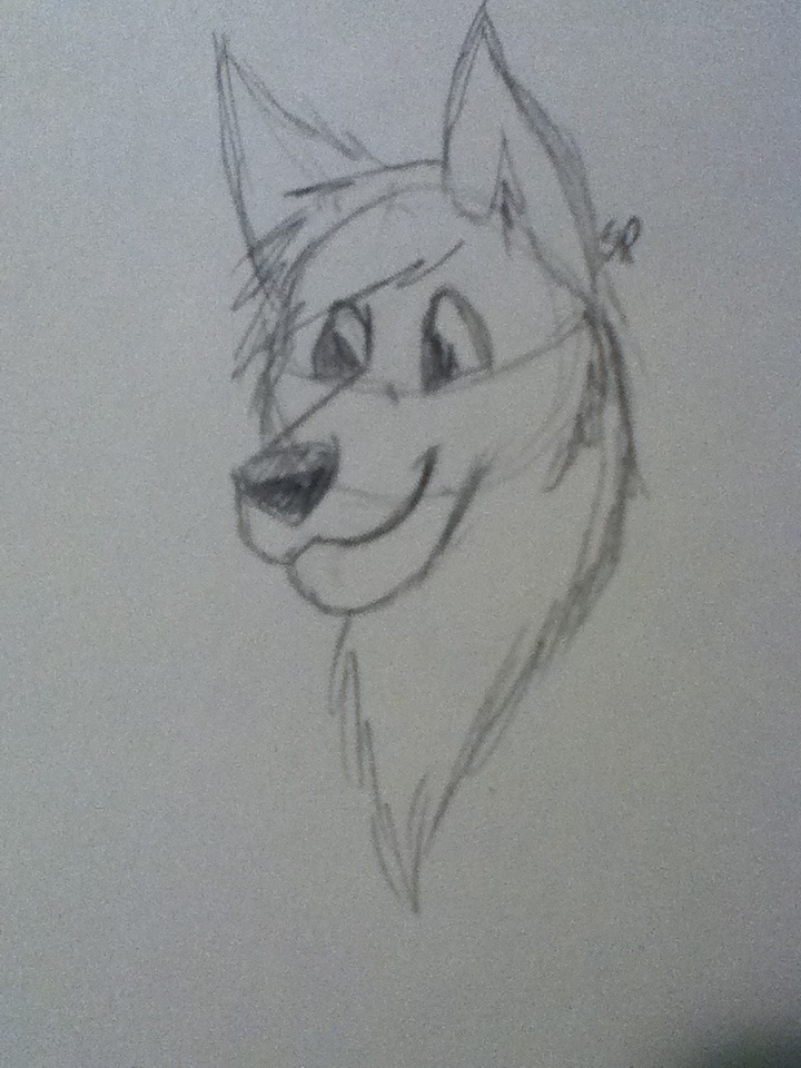 How to Draw an Anthro Wolf Head