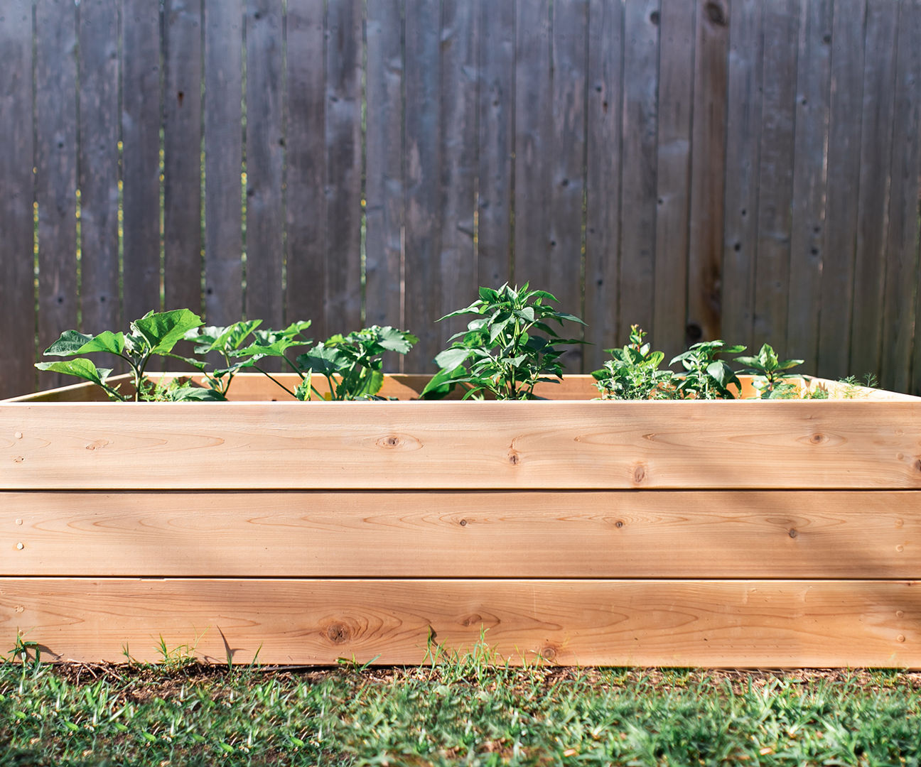 How to Build A Raised Garden Bed
