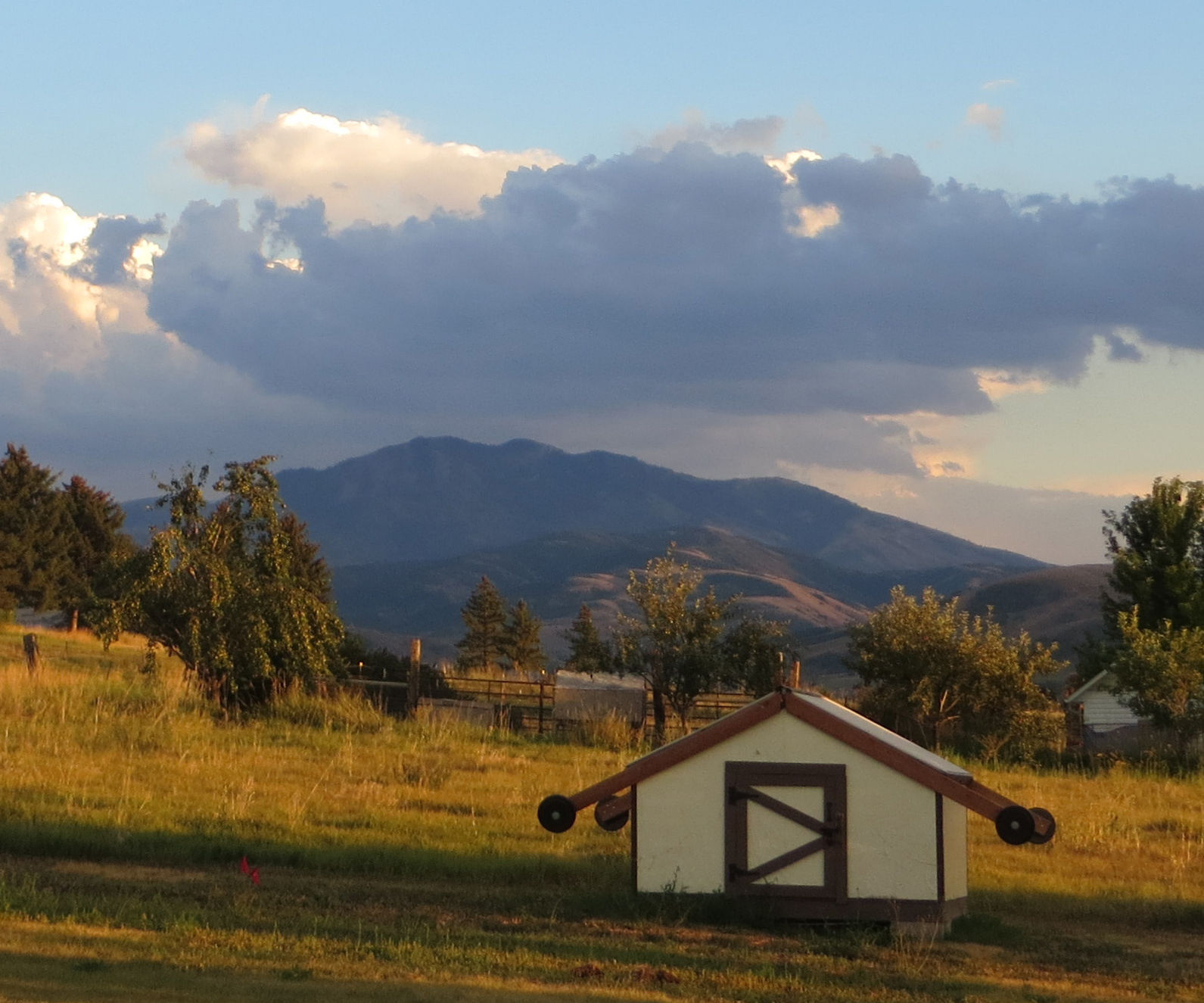 A Tiny Telescope Observatory