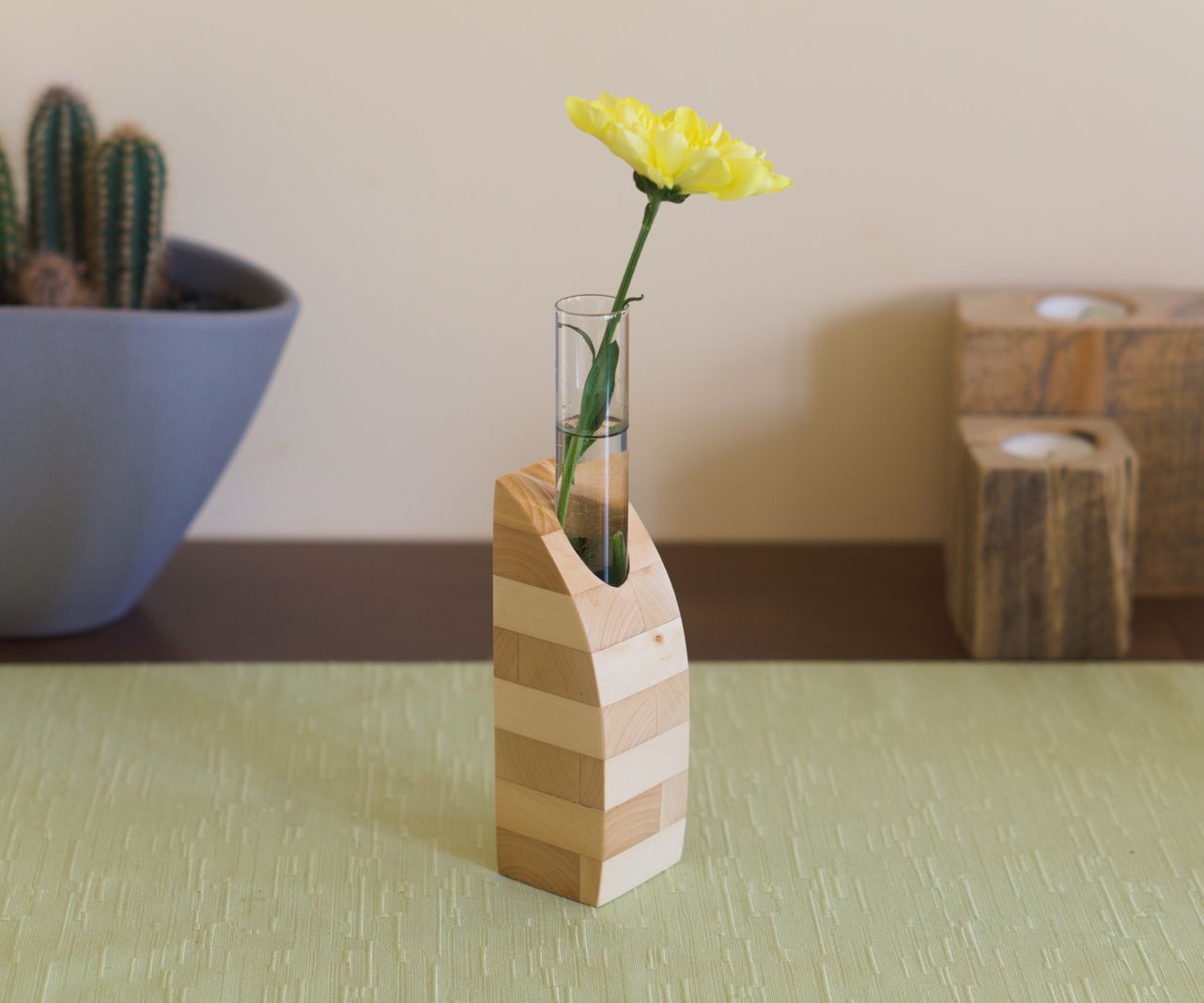 Test Tube Vase