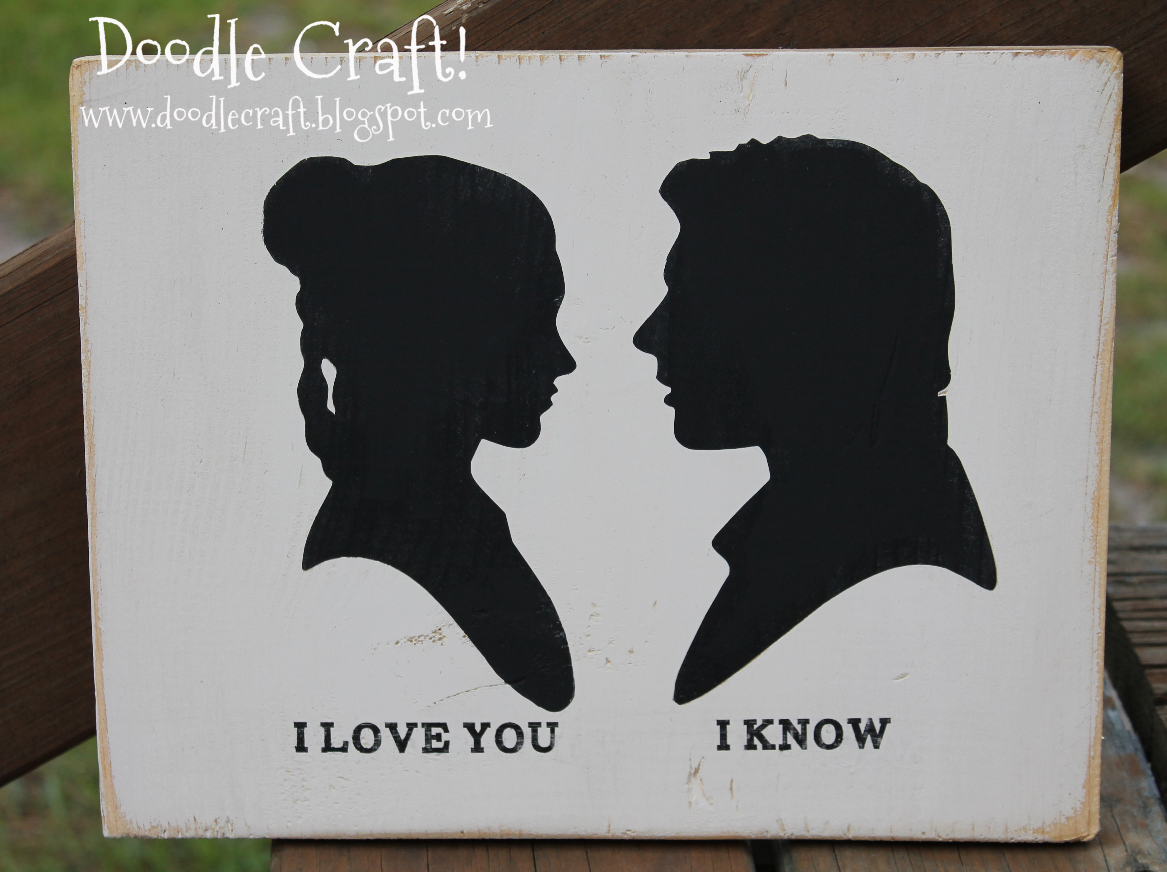 Star Wars Han Solo and Princess Leia Love!