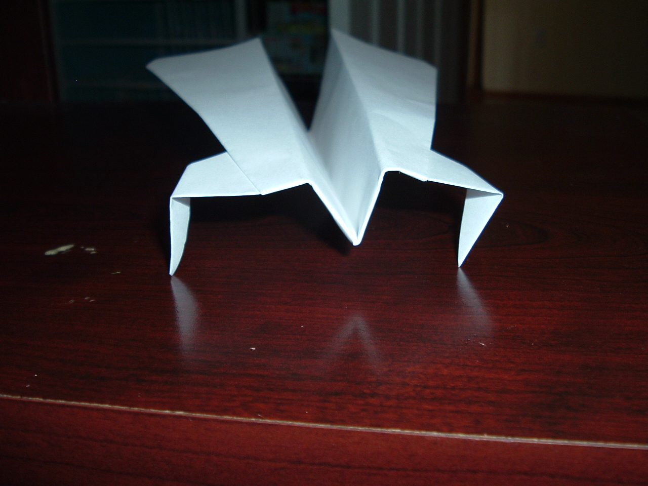 Cicada Paper-air-plane