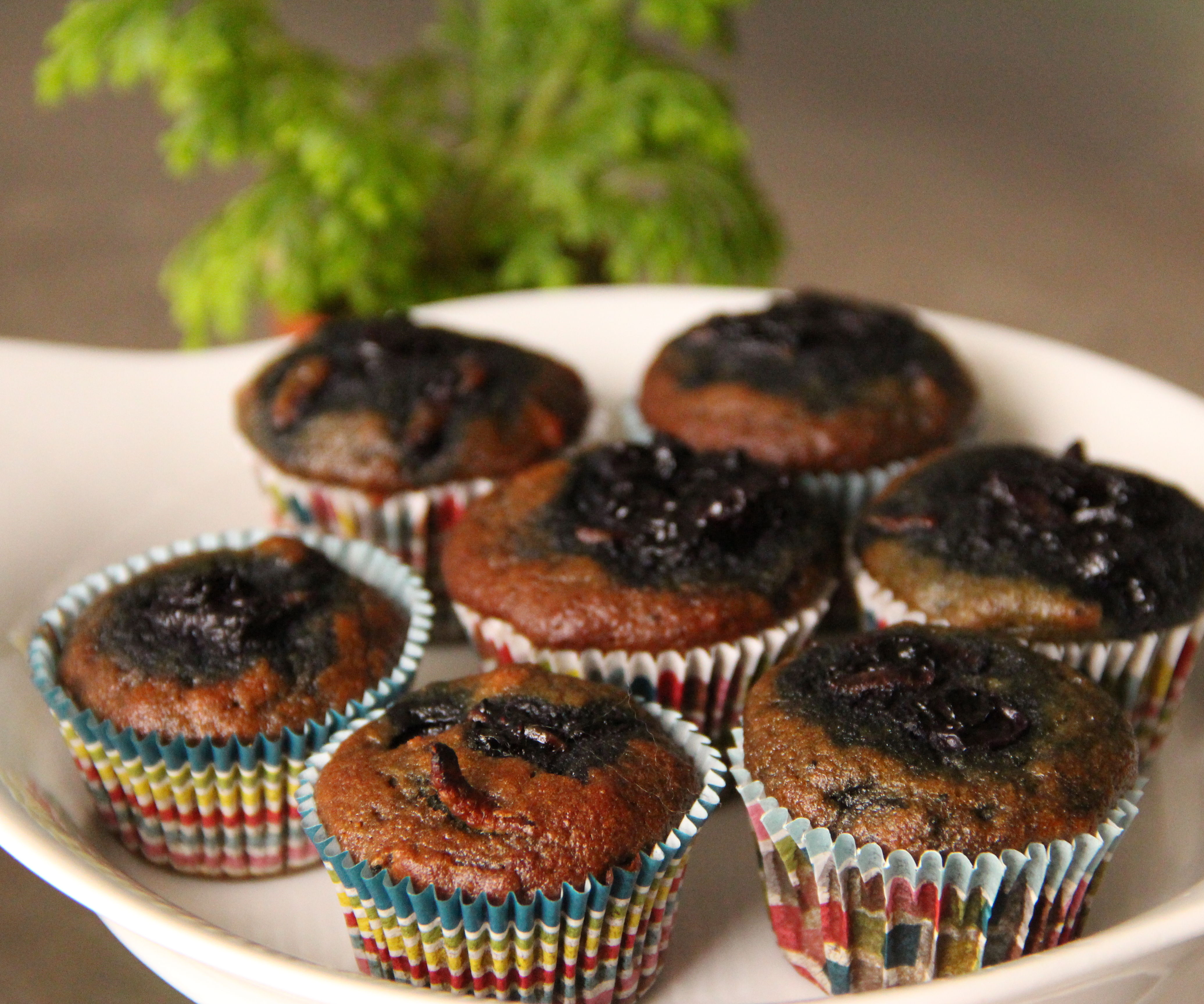 Blueberry Grub Muffins. Gluten Free