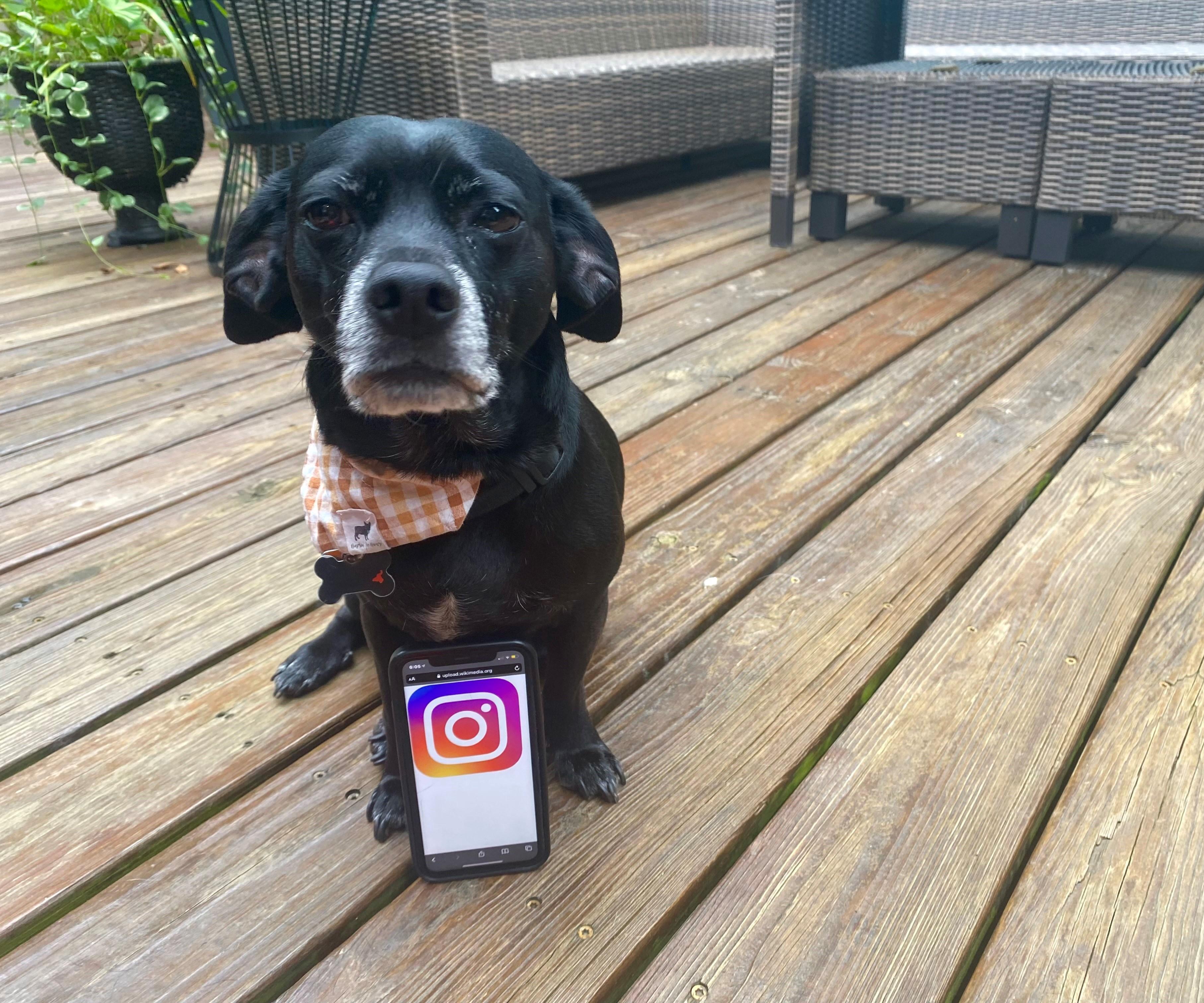 How to Create an Instagram Post!