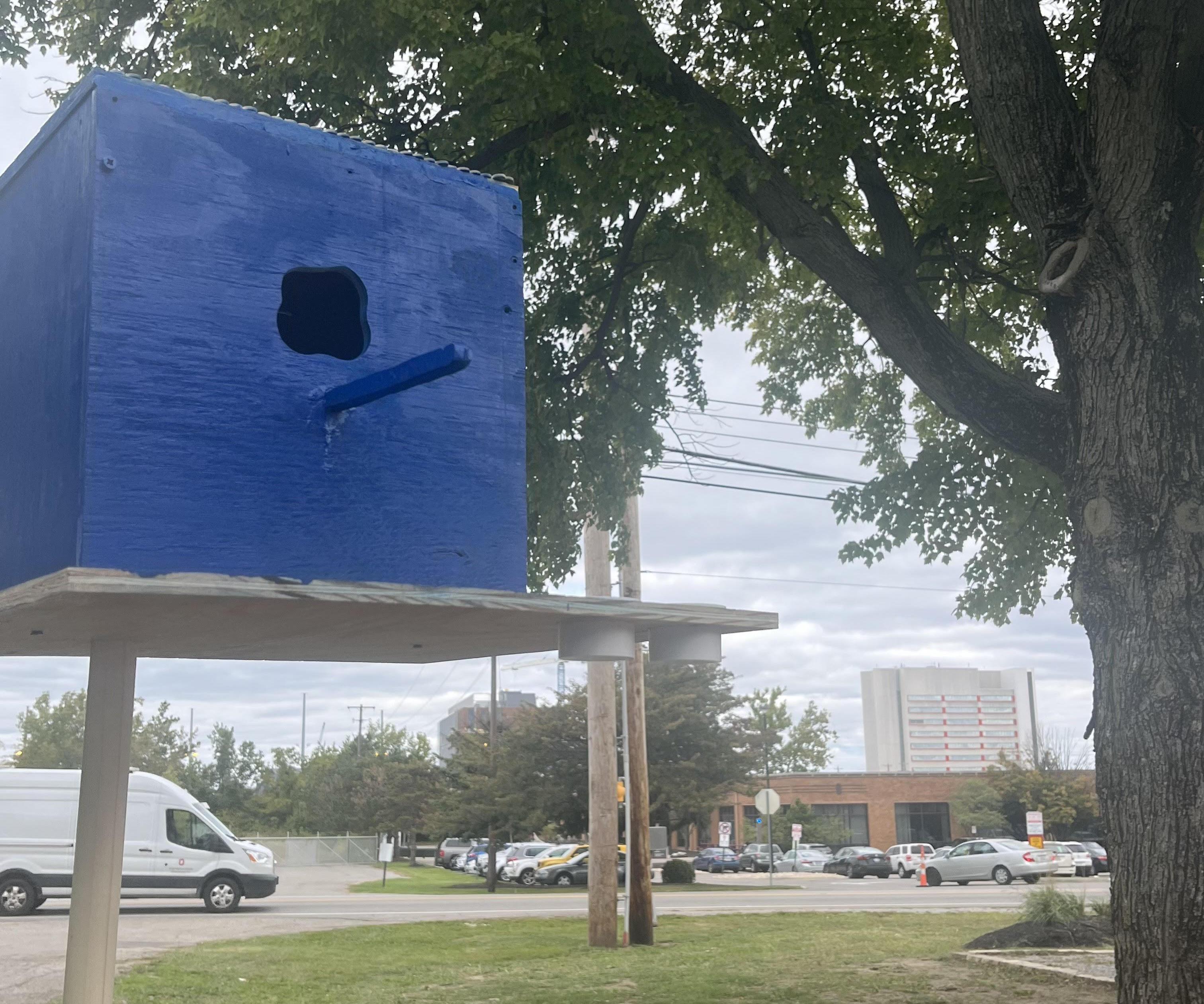 Bird House