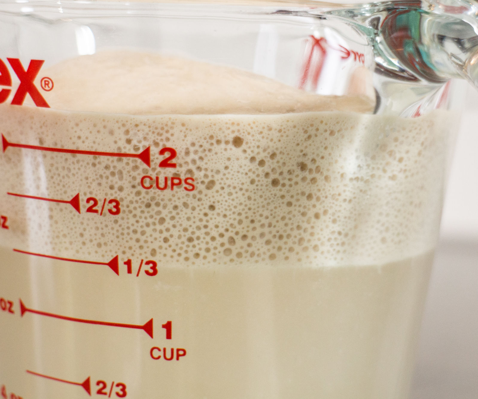 Proofing Your Yeast