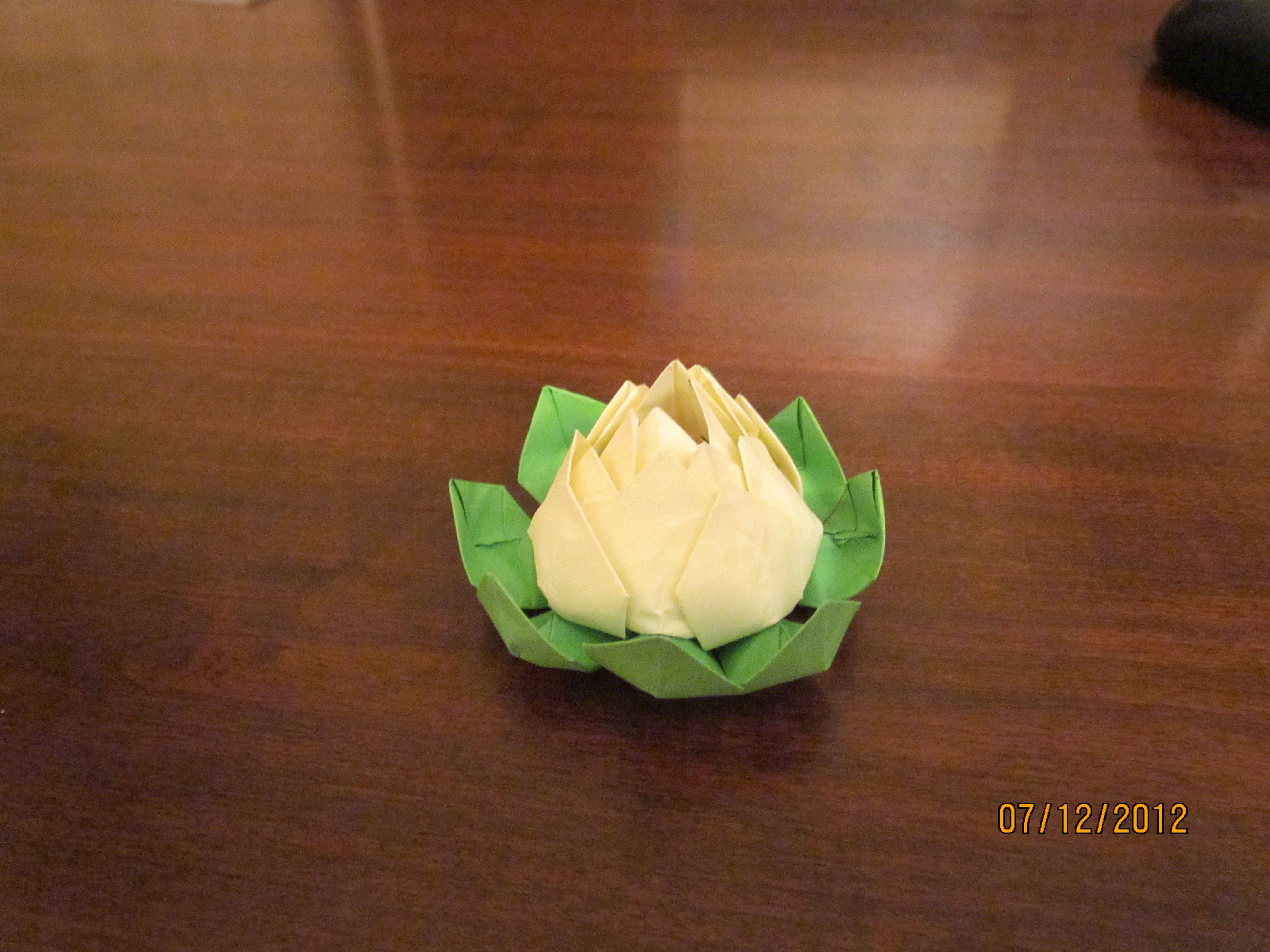 Lotus Flower