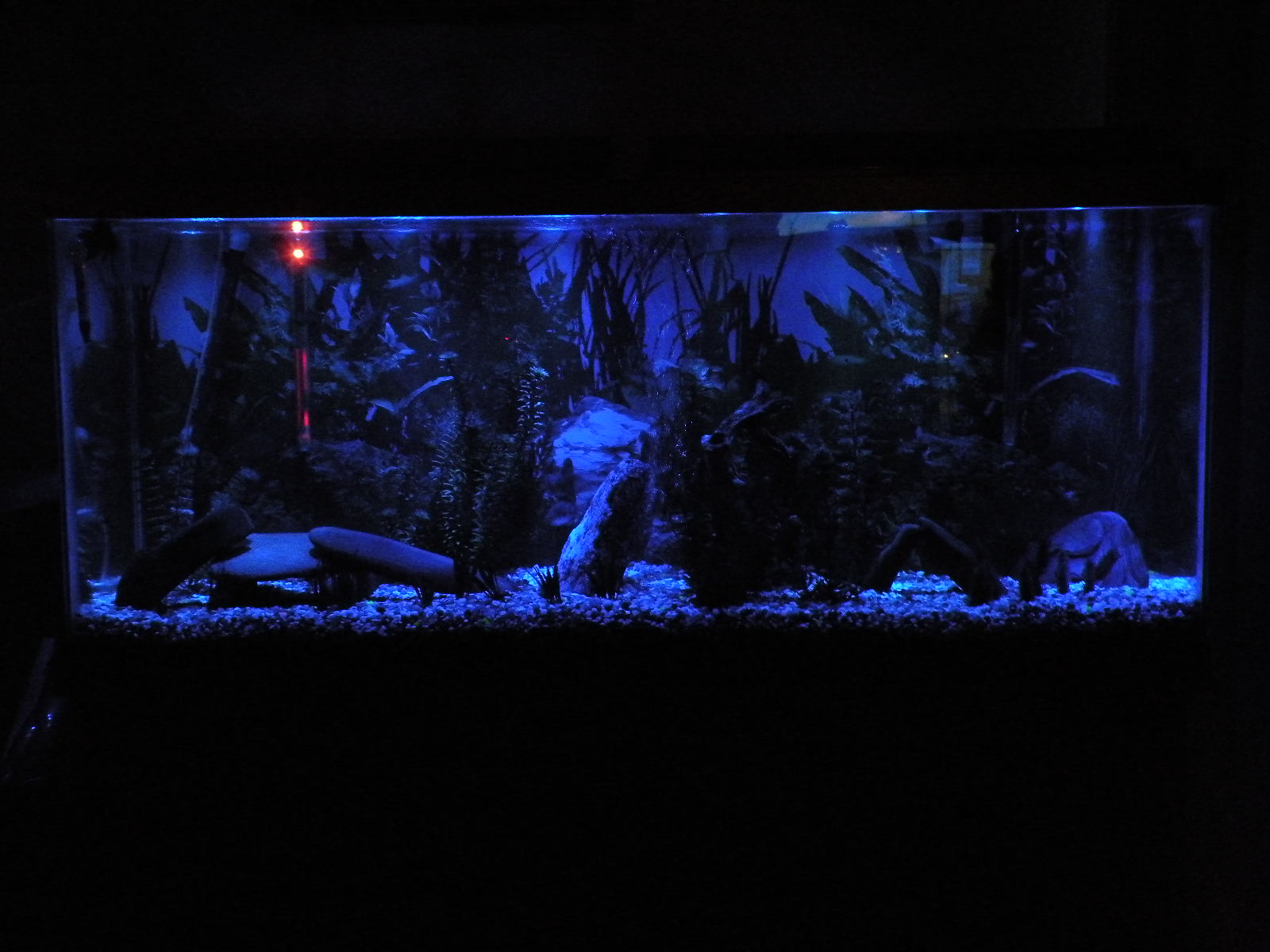 LED Aquarium Moonlights