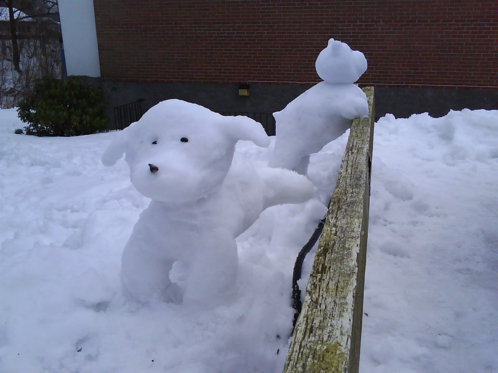 Snow Dogs