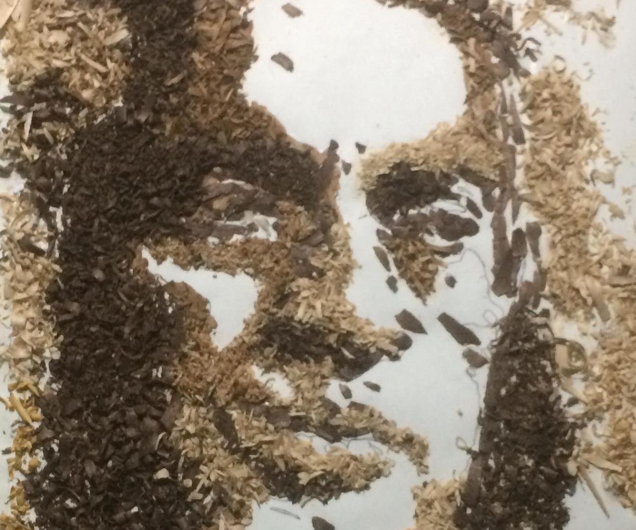 Making a Collage Portrait Recycling Wood Shavings