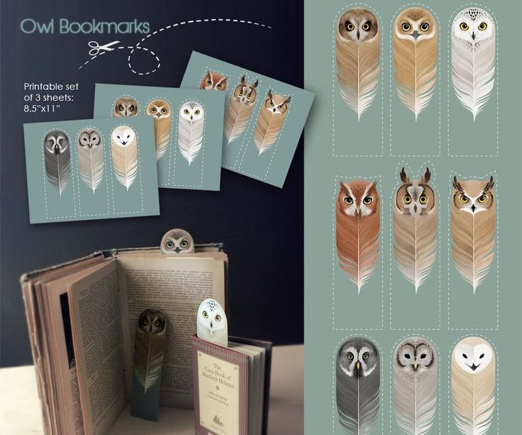 Owl - Bookmark Printable / Marca-páginas De Corujinhas