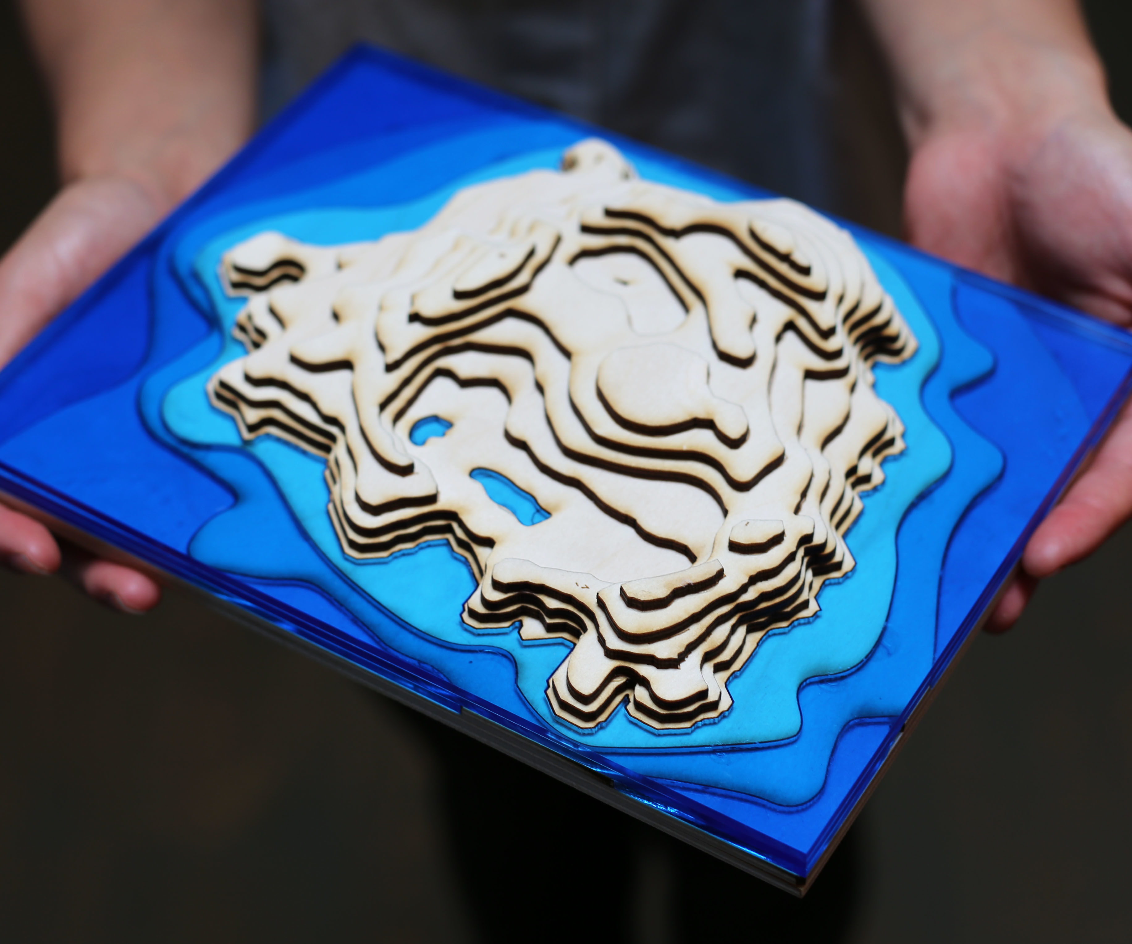 Easy 3D Topographical Maps With Slicer