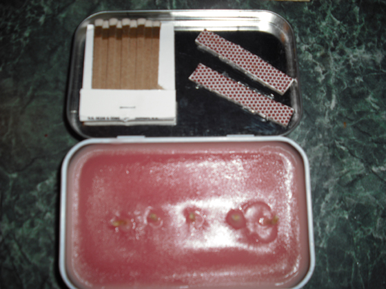 Altoids Tin Emergency Candle