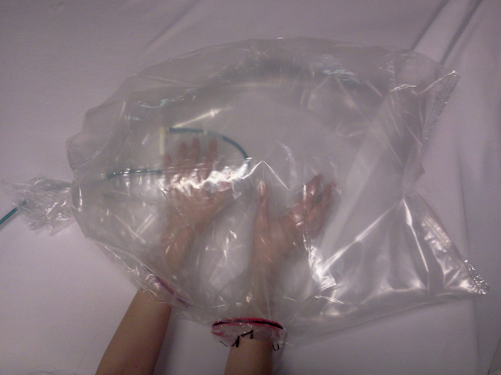 Ozonated Sterile Glove Bag for DIY Chemistry and Biology