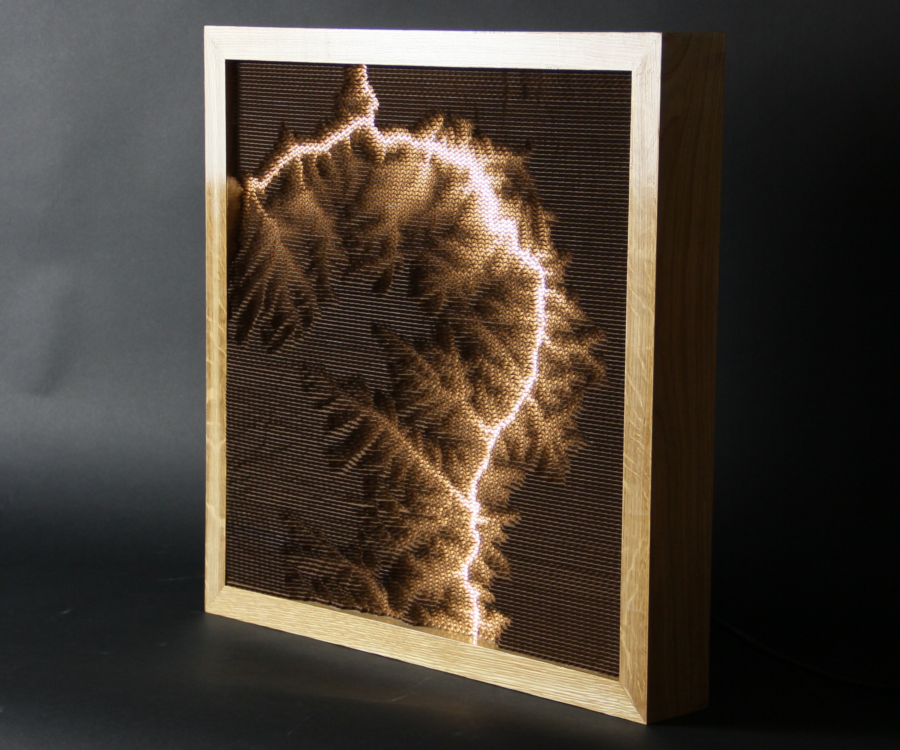 Topographical Lamp