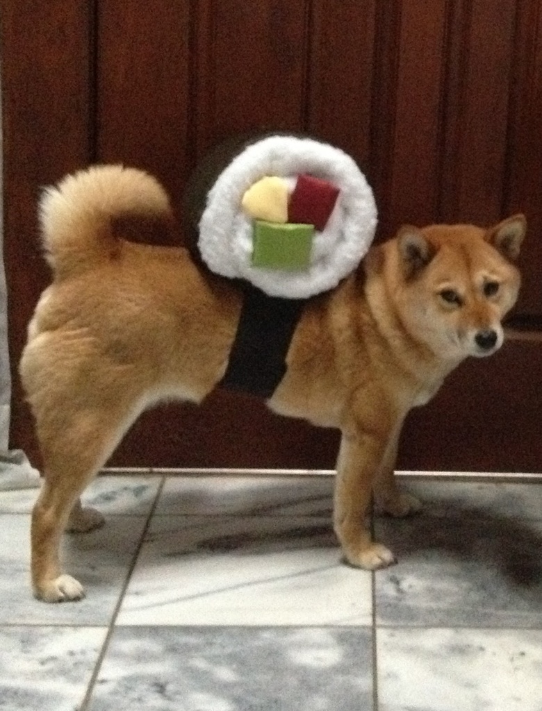 Sushi Roll Dog Costume