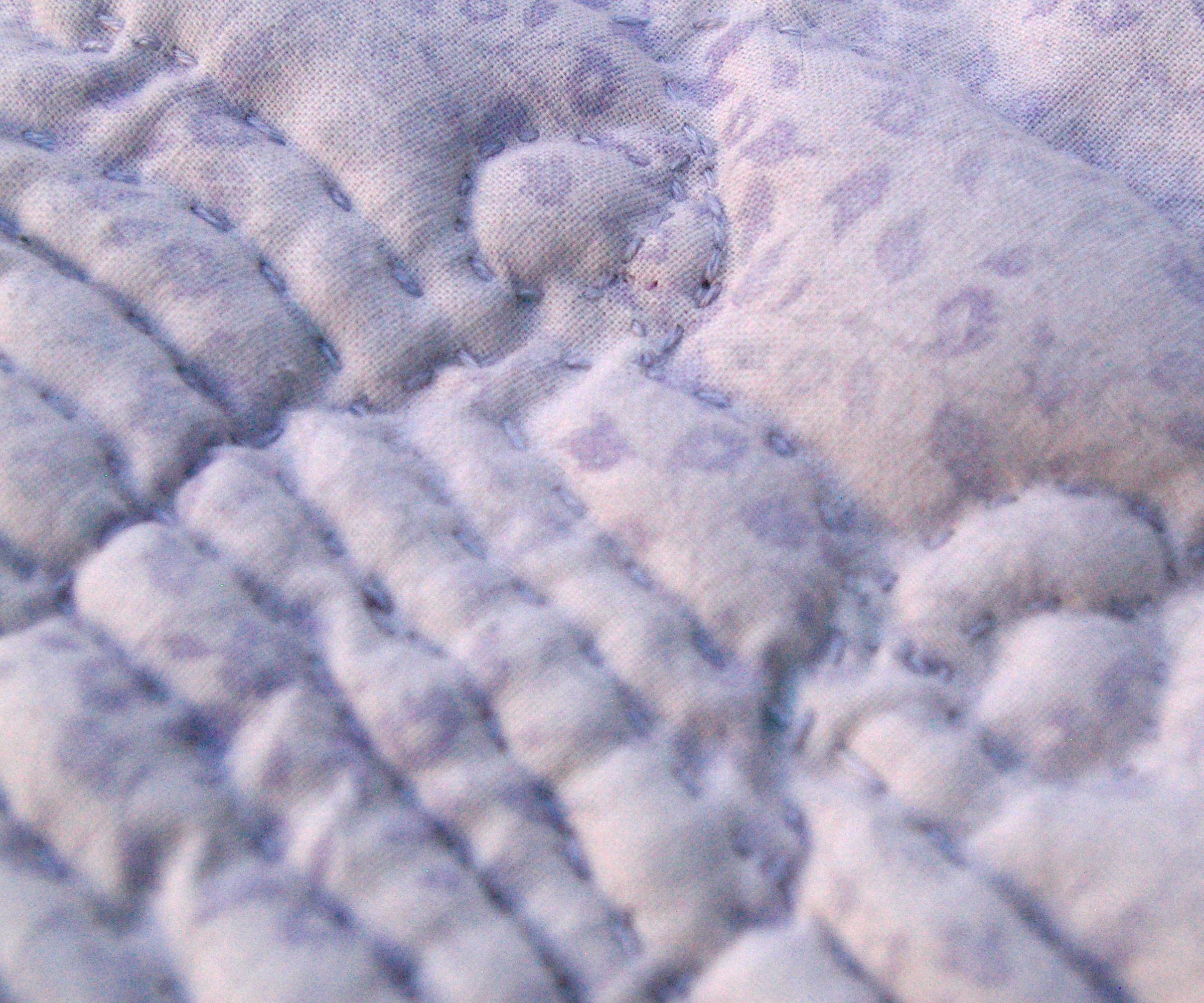 Trapunto Trilobite