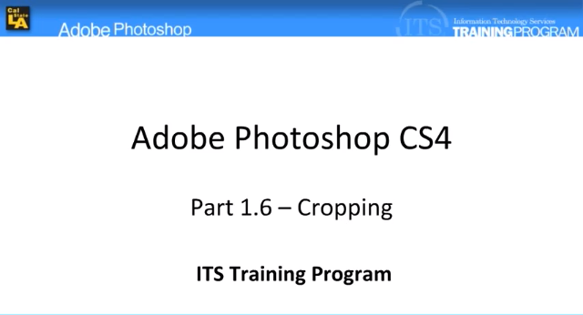 Cropping: Adobe Photoshop (1.6)